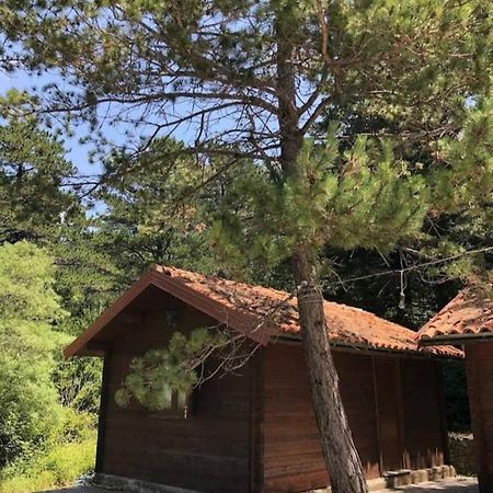 The Old Man'S Chalet Villa Dukat ภายนอก รูปภาพ